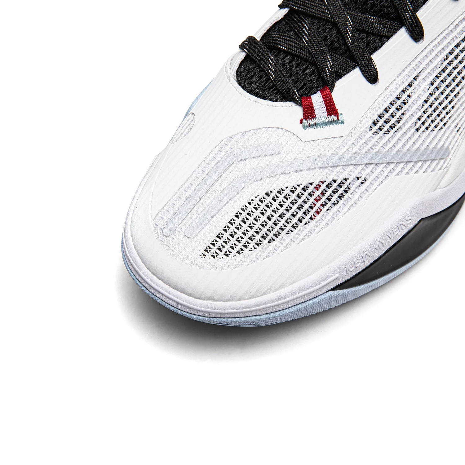 Wade Ice Blood 2 "Announcement" - Image 7